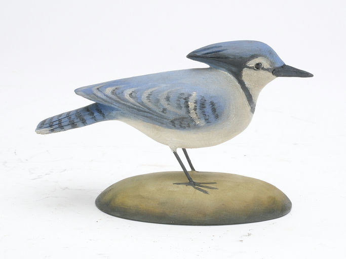 Frank Finney – Miniature bluejay – 2023