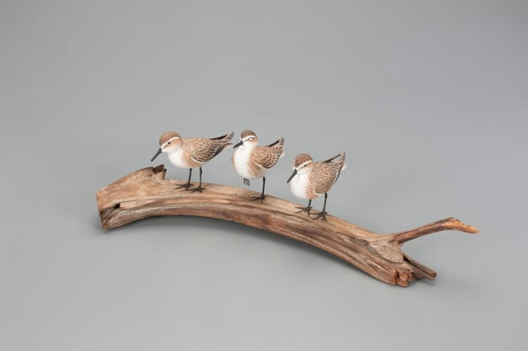 Arnold T. Melbye – Sandpiper Trio – 2021