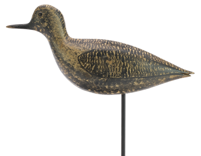 George Boyd – Black Bellied Plover – 2025