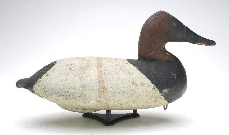 William Heverin – Canvasback – 2024