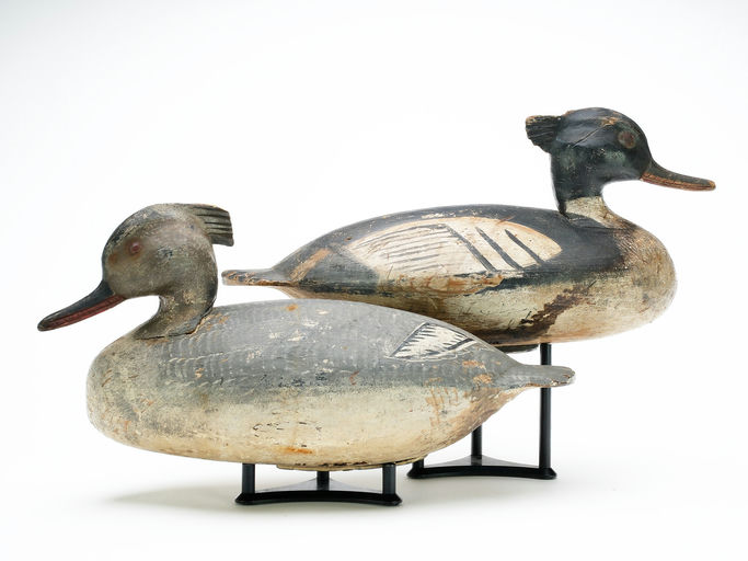 Ira Hudson – Pair of Merganser – 2025