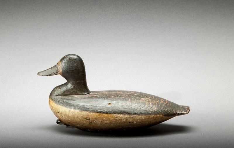Samuel Collins – Bluebill Hen – 2014