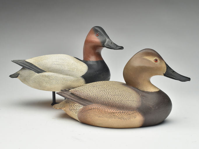 Ward Brothers – Pair of canvasbacks – 2023