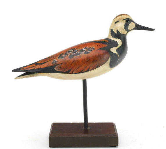 Bill Gibian – Ruddy Turnstone – 2024