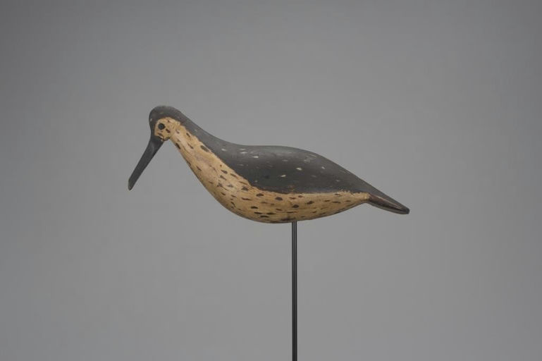 Charles S. Clark – Yellowlegs – 2018