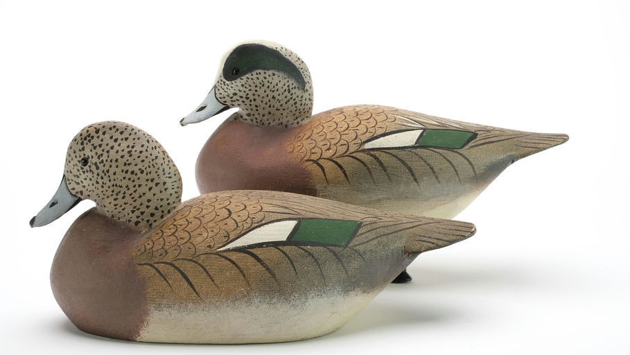 Ward Brothers – Pair of widgeons – 2024