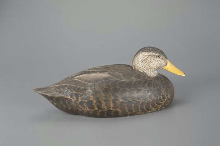 John Scheeler – Black Duck – 2024