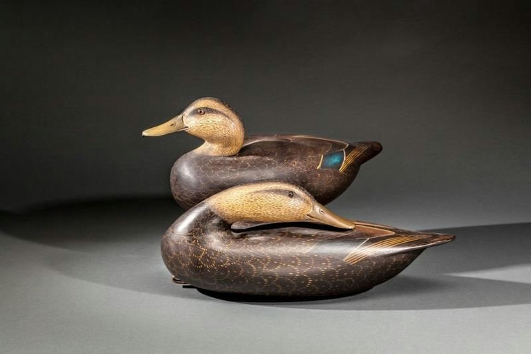 Anthony G. Murray – Two Black Ducks – 2015