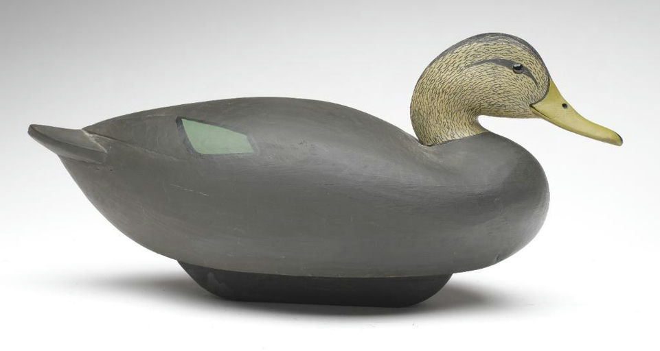 Cameron McIntyre – Black Duck – 2023