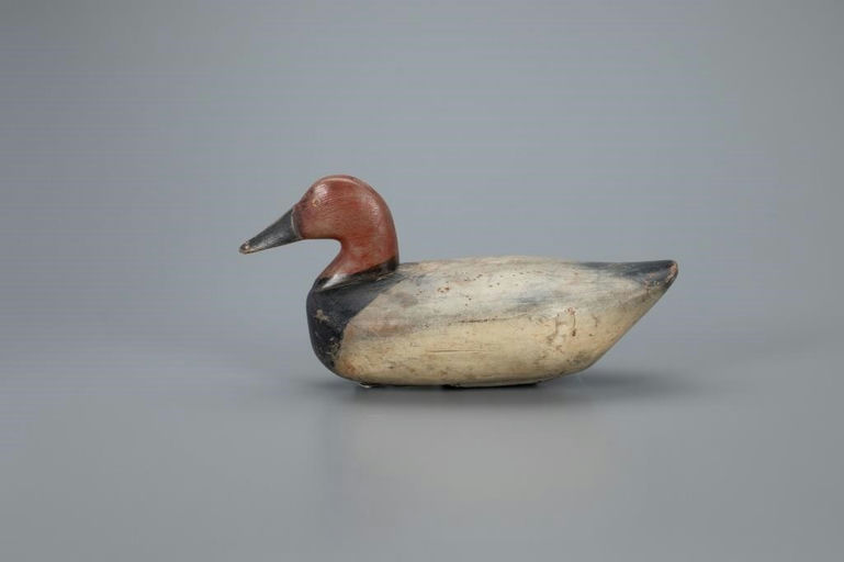 Sam Barnes – Canvasback – 2020