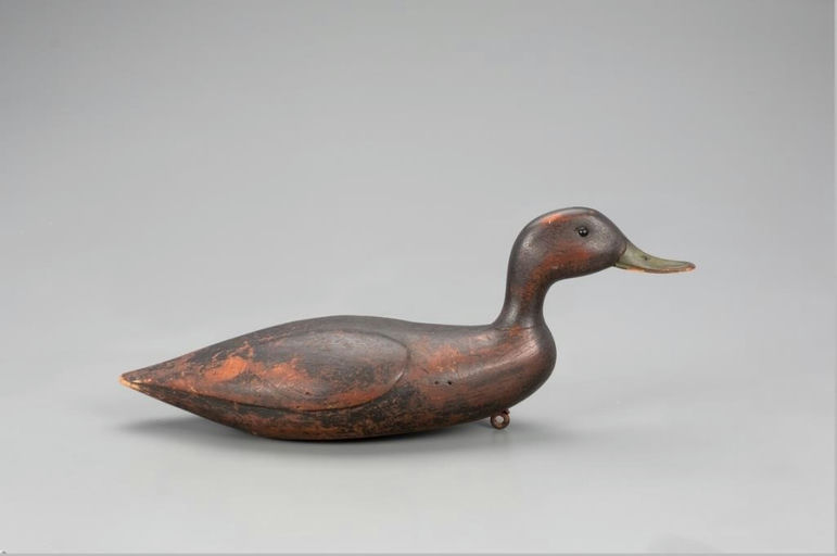 Franklin Pierce Wright – Swimming Black Duck – 2021