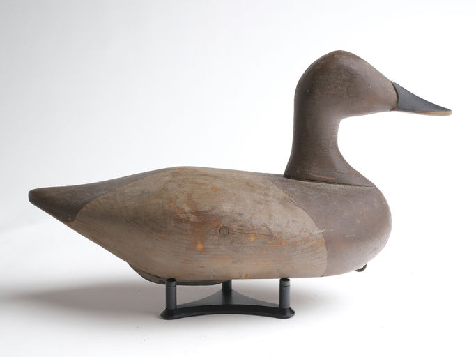 Bob McGaw – Canvasback Hen – 2023