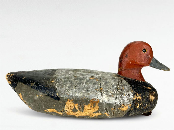 Thomas Gelston — Redhead Drake