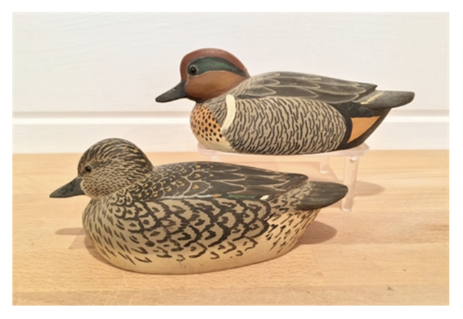 Grayson Chesser – Pair of Miniature Green-winged Teal – 2016