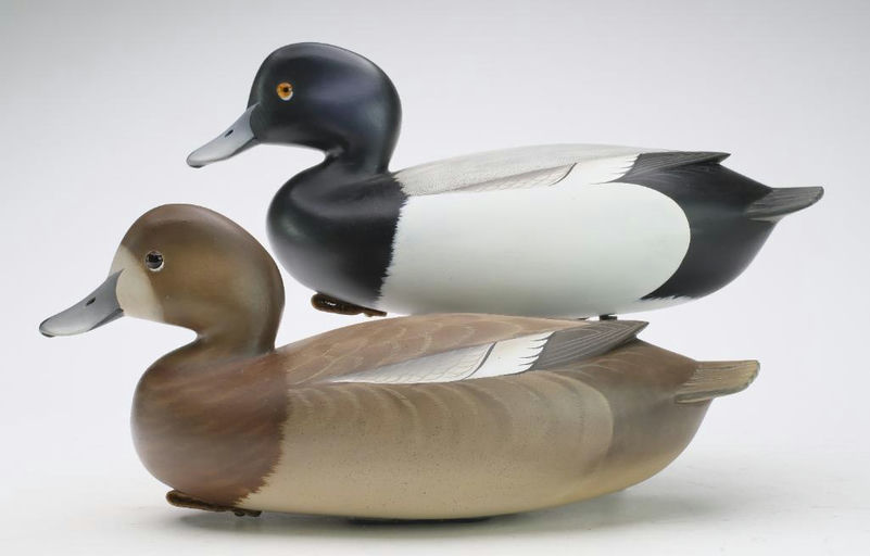 George Strunk – Pair of Bluebills – 2024