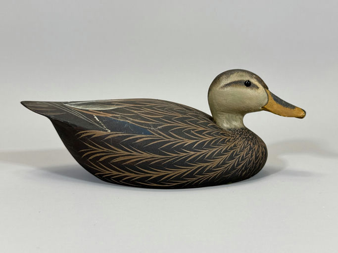 Dan Brown – Black Duck – 2026