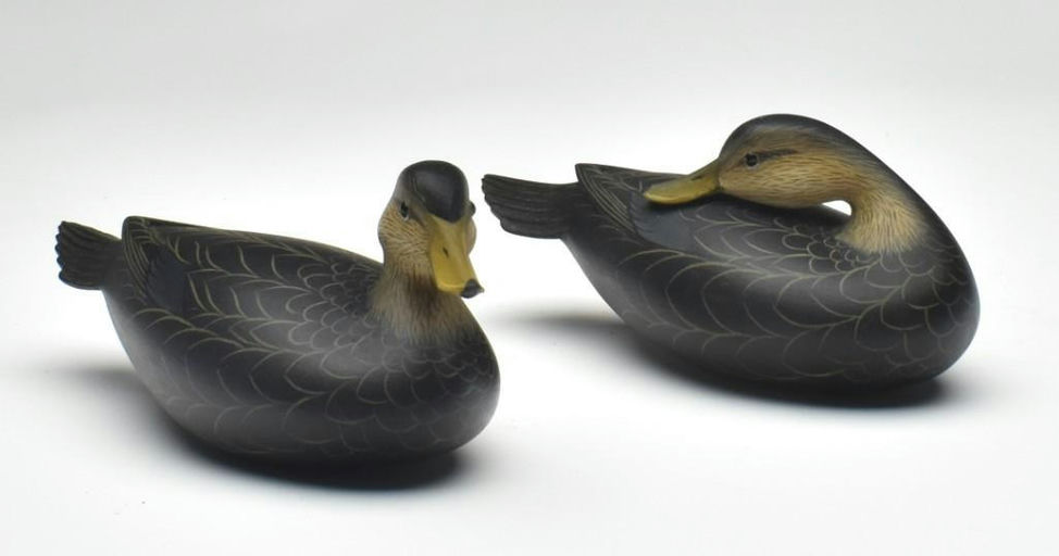 George Strunk – Pair of Black Ducks – 2023