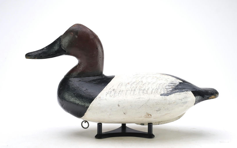 William Heverin – Canvasback – 2025