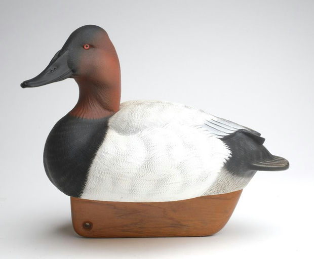 Tom Matus – Canvasback – 2023