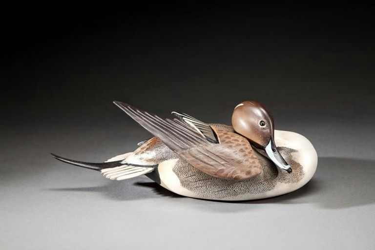 Ward Brothers – Preening Pintail Drake – 2016