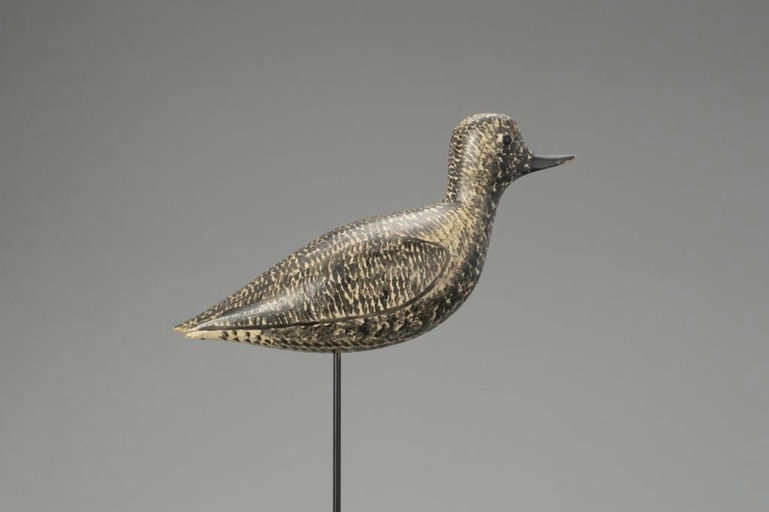 George Boyd – Black-Bellied Plover – 2018