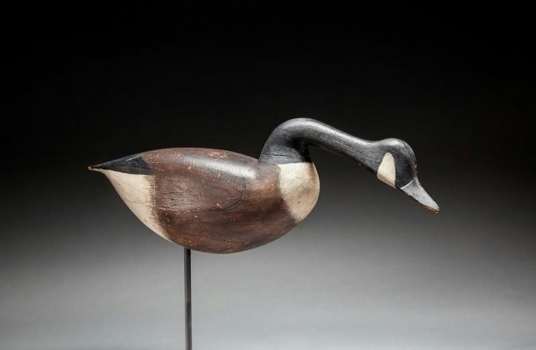 Samuel Soper – Feeding Canada Goose – 2016