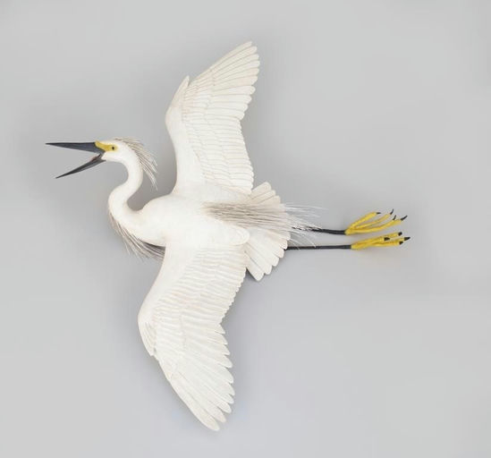 Frank Finney – Flying Snowy Egret – 2026