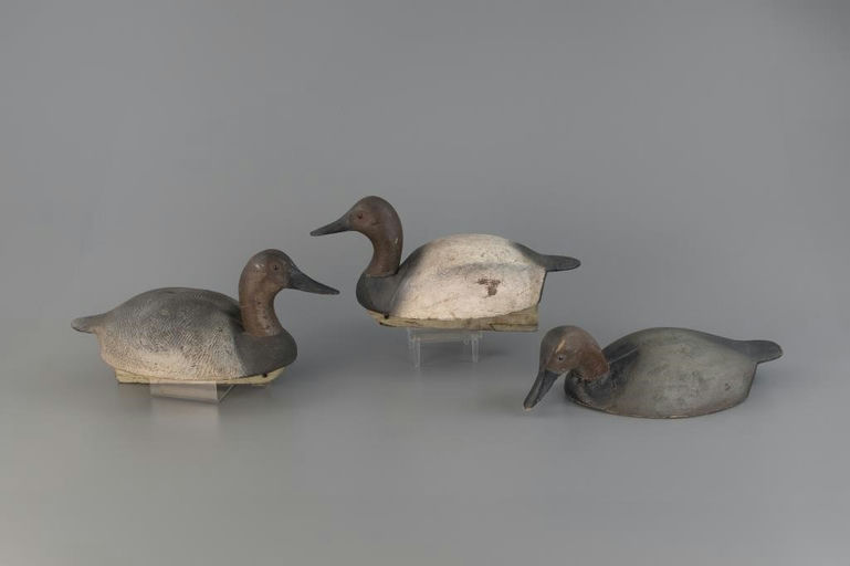 Gordon Pecor Fox – Canvasback Trio – 2025
