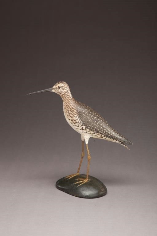 Elmer Crowell – Greater Yellowlegs – 2011