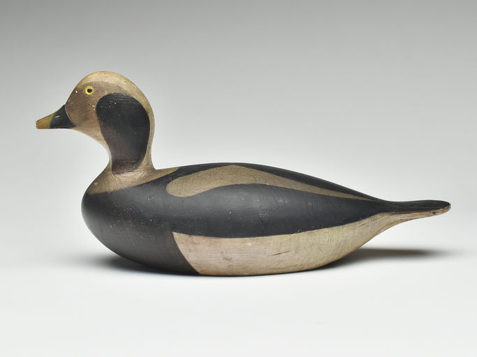 Joseph Lincoln – Long Tail Duck Drake – 2023