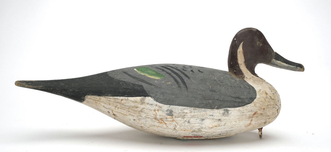 Miles Hancock – Pintail – 2026