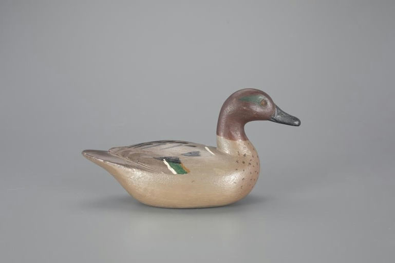 Richard Janson – Exceedingly Rare Green-Winged Teal – 2024