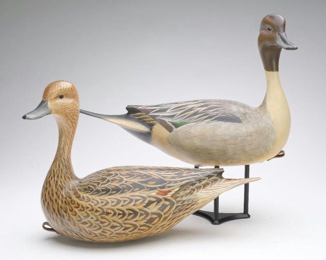 Ben A. Heinemann – Pintail – 2023