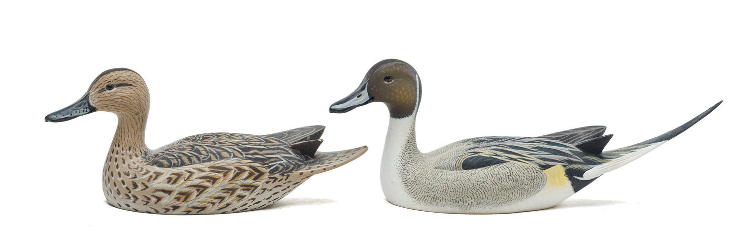 Jimmie Vizier – Pintail – 2026