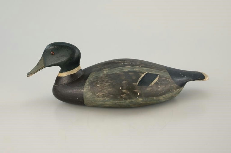 Harvey Stevens – Early Mallard Drake – 2026
