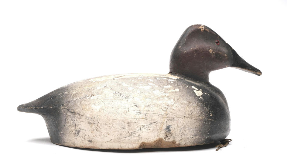 Ralph Johnson – Canvasback – 2026