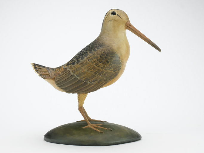 Frank Finney – Standing woodcock – 2024