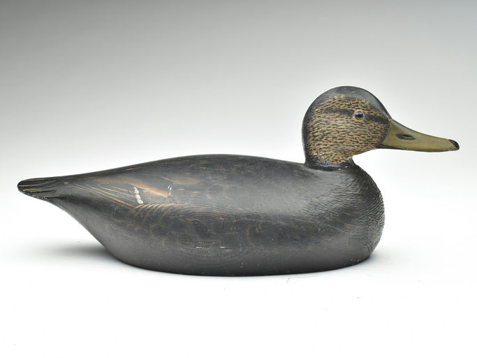 Elmer Crowell – Black Duck – 2023