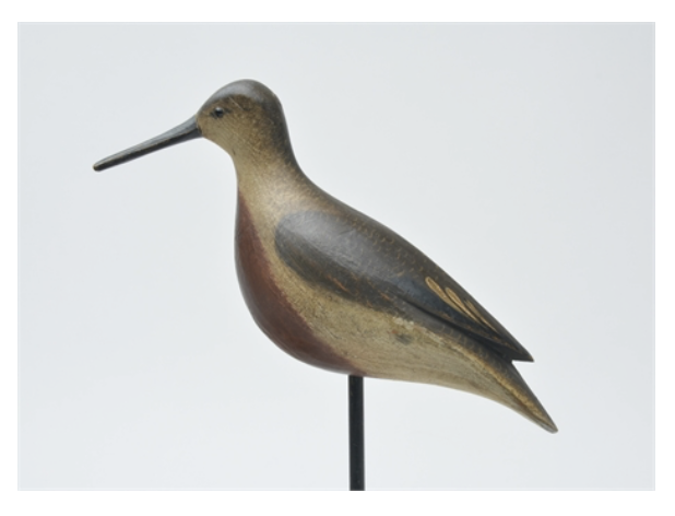 Mark McNair – Red Knot – 2021