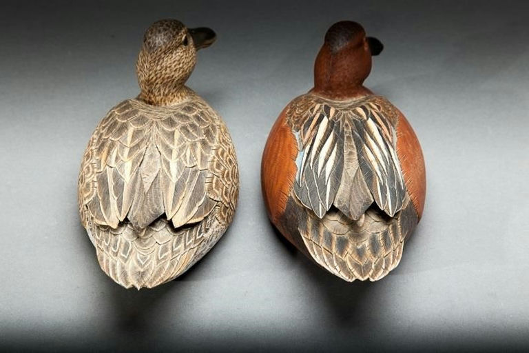 Jack Franco – Cinnamon Teal Pair – 2014