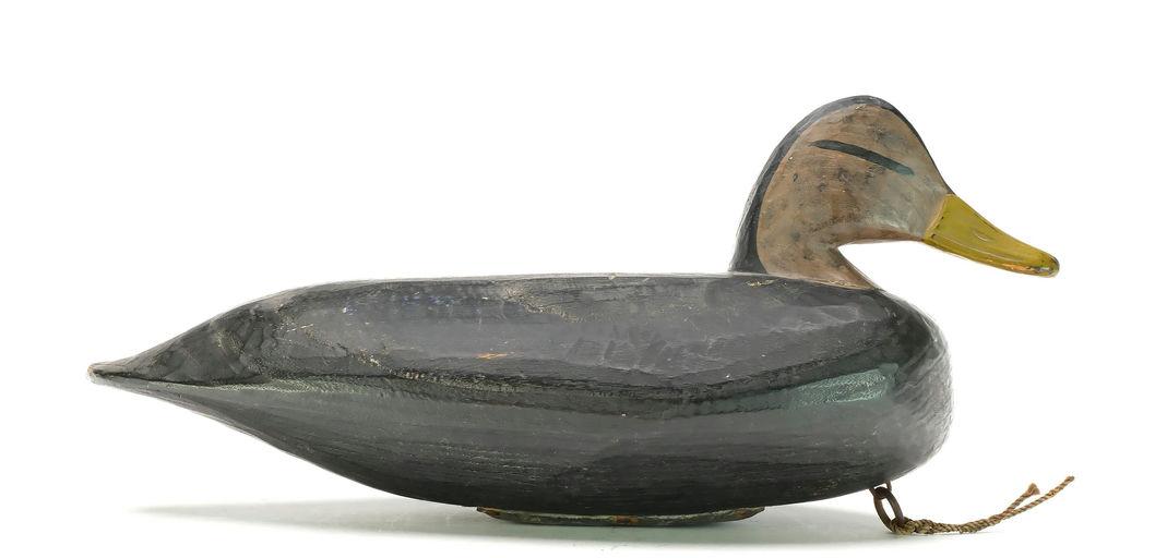 Doug Jester – Black Duck – 2025