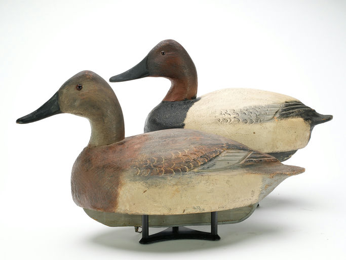Ben Schmidt – Pair of Canvasback – 2025