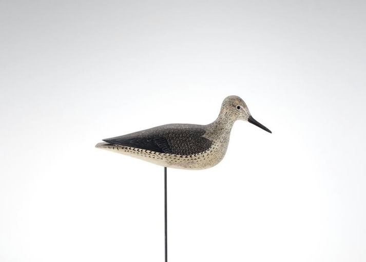 Tom Wilson – Nina Fletcher Little Wilson Yellowlegs – 2021