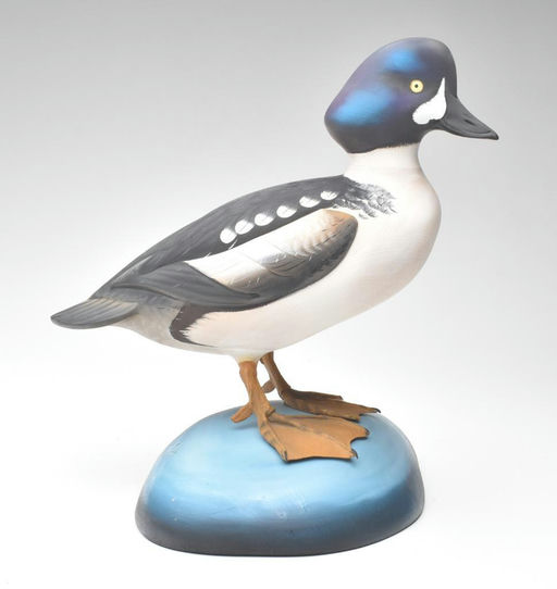 Sean Sutton – Standing Barrow's Goldeneye – 2023