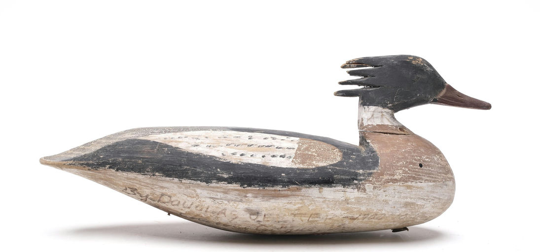 Doug Jester – Red-breasted Merganser – 2026