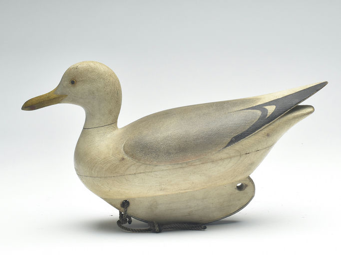 Mark McNair – Gull – 2023