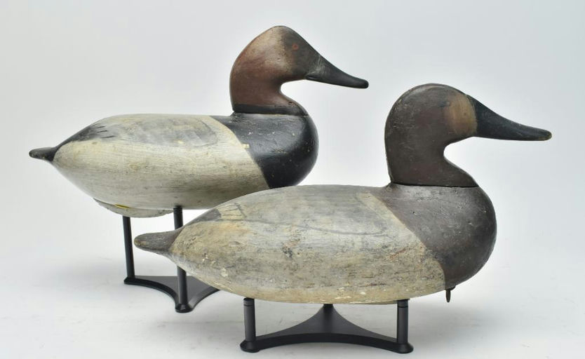 William Heverin – Pair of Canvasback – 2023