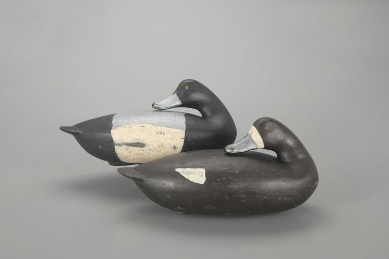 Thomas "Tom" Marshall – Preening Bluebill Pair – 2023