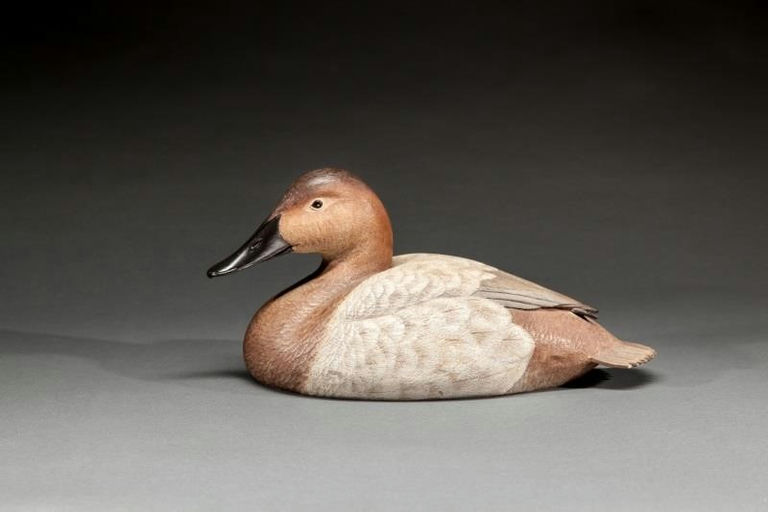 Randy Tull – Canvasback Hen – 2015