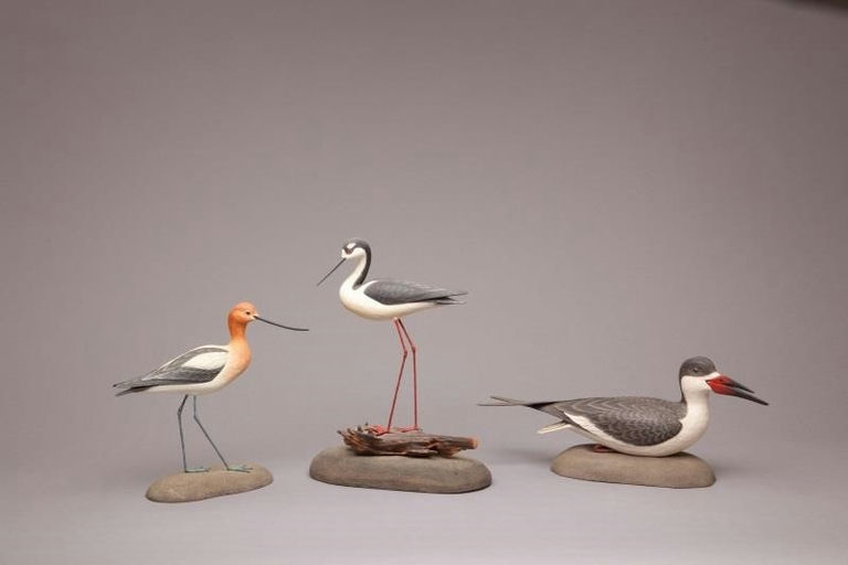 Armand Carney – Two Shorebirds and a Skimmer – 2011